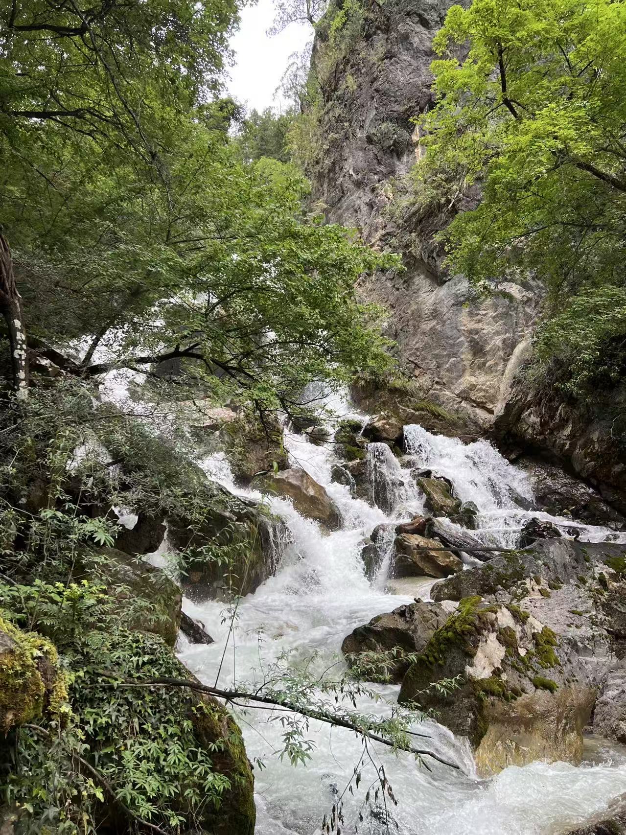 Mountain stream rushing through a forested valley in the mountains of northwest Yunnan