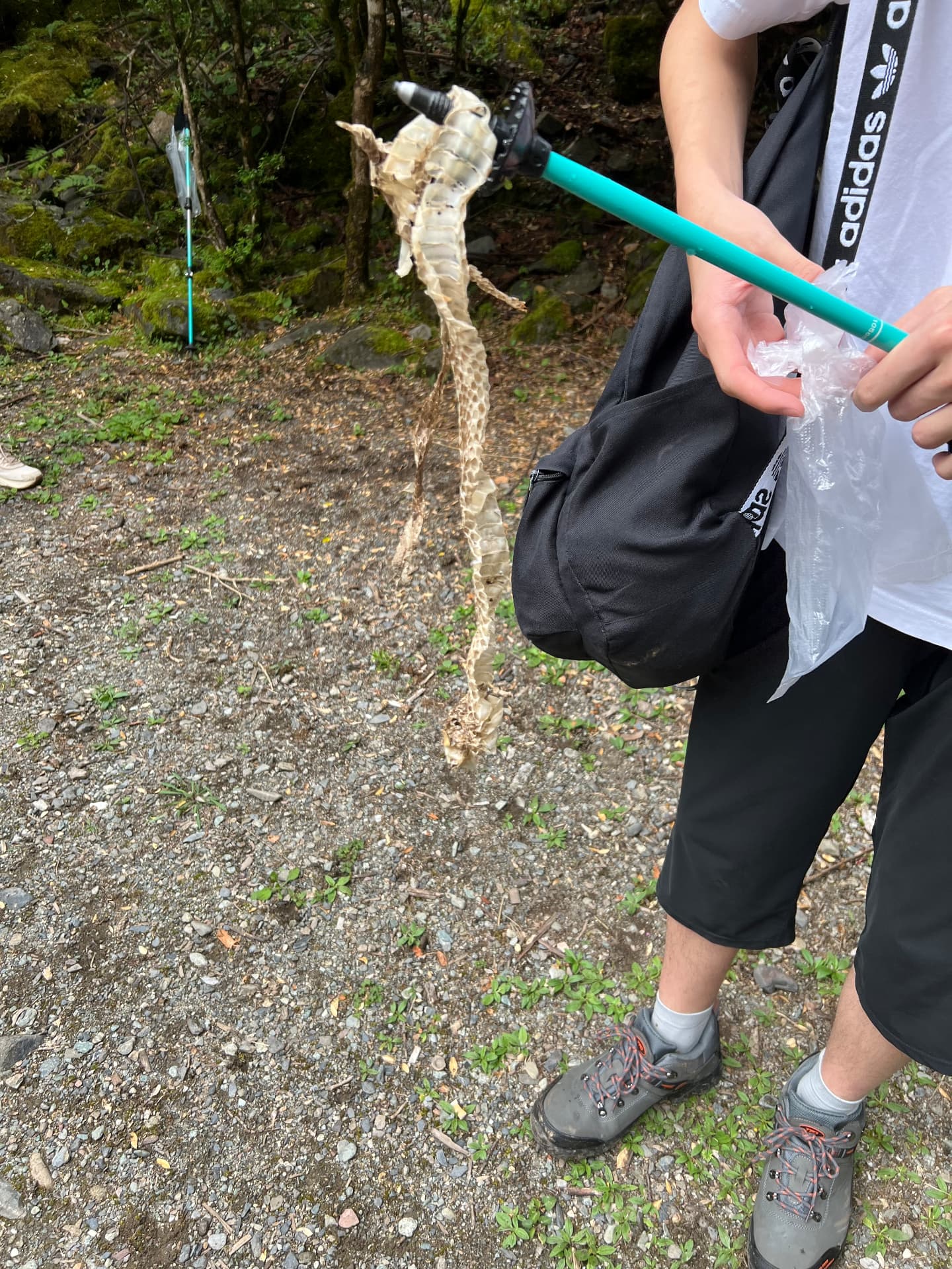A snake skin found on the trail